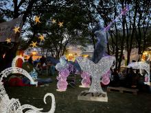 Der Wal im Wohnzimmer